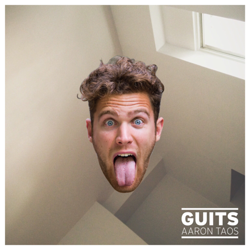 Cover image for GUITS