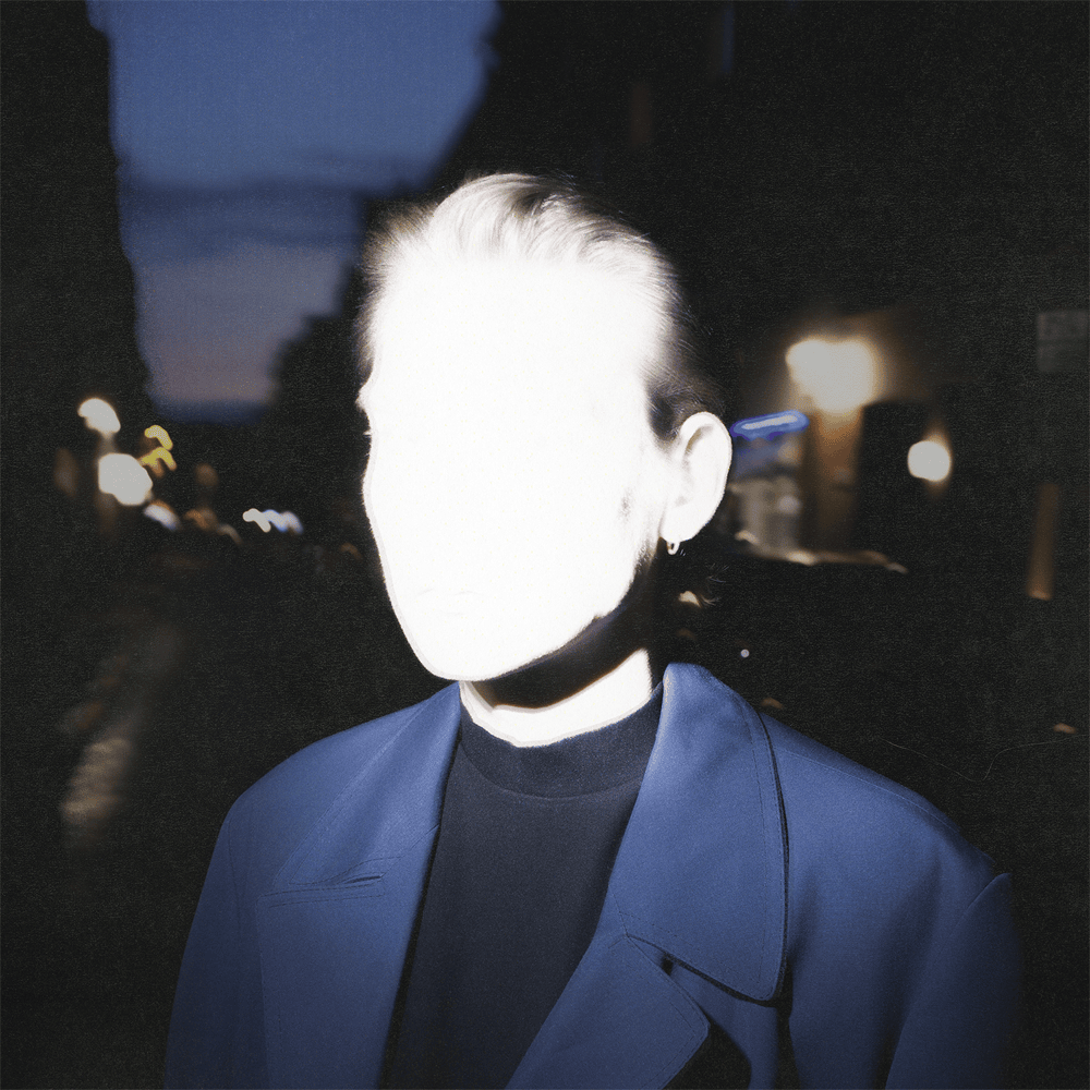 Cover image for Stray