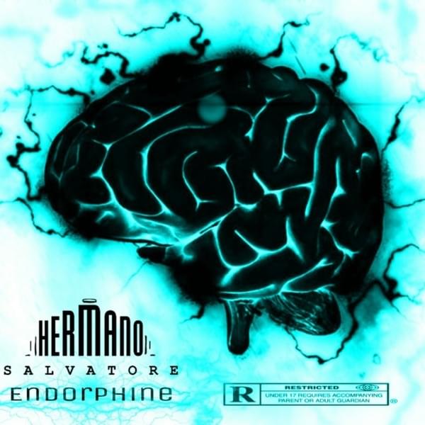 Endorphine by Hermano Salvatore