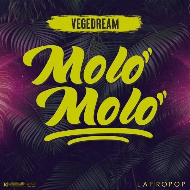 Album cover art for "Molo Molo" by Vegedream & Lafropop