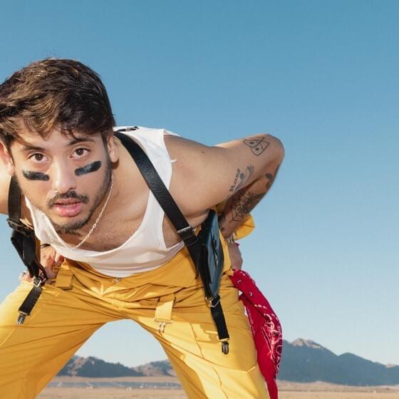 Cover image for Ookay