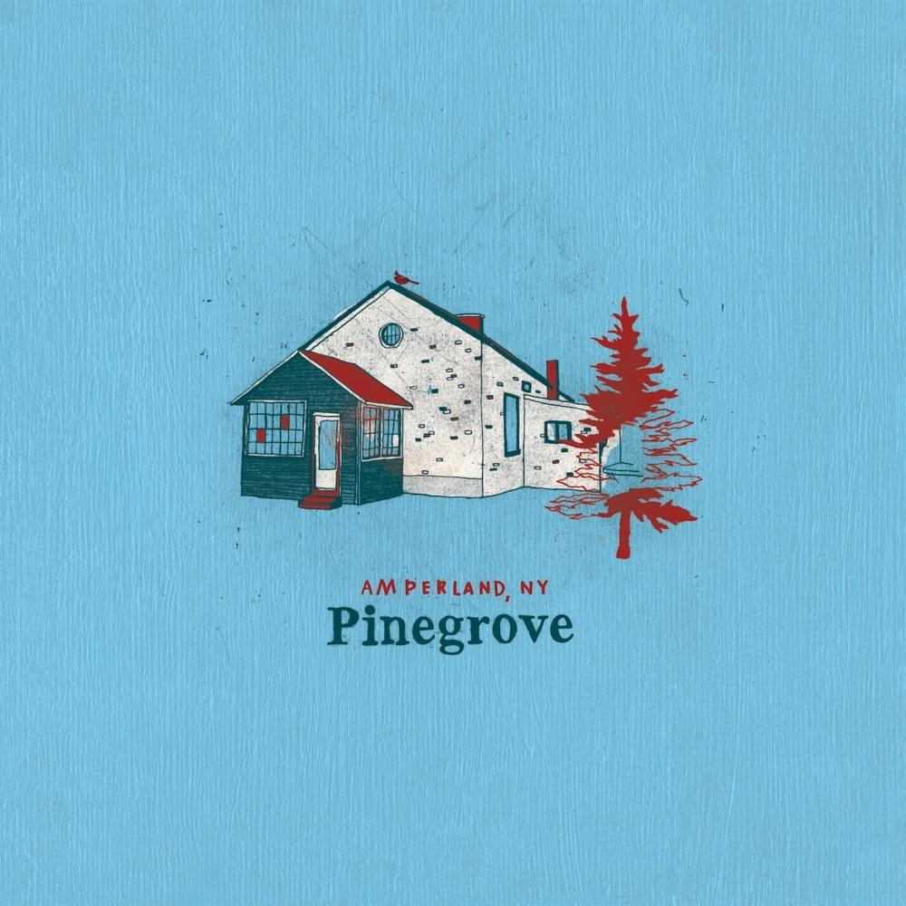 Album cover art for "Morningtime (Amperland, NY)" by Pinegrove
