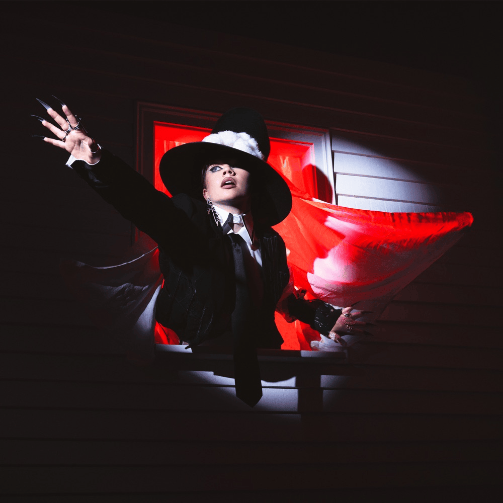 Cover image for Ok As I Am: The Trilogy