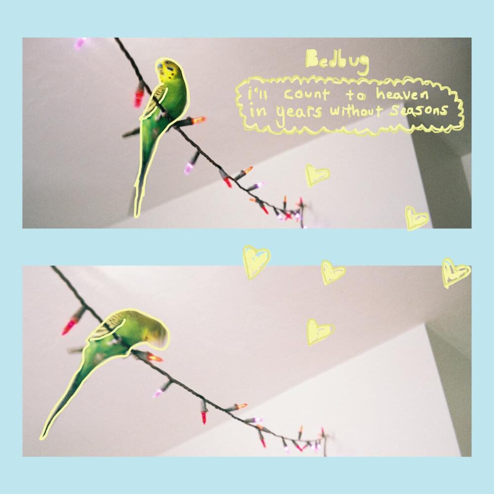 Album cover art for "lilies" by Bedbug