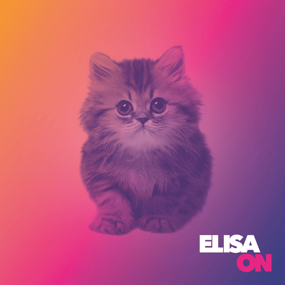 Cover image for On