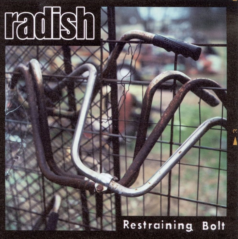 Album cover art for "Failing And Leaving" by Radish