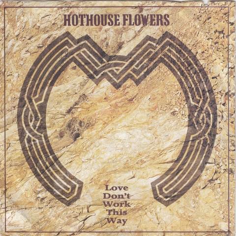 Album cover art for "Seeline Woman" by Hothouse Flowers