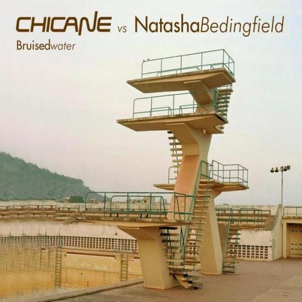 Cover image for Bruised Water