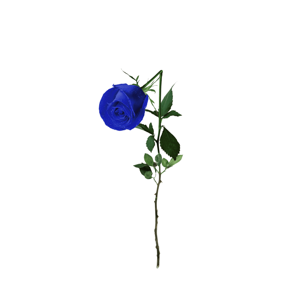 널 미워하는 방법 (How you hate you) by AQUINAS (강민수)
