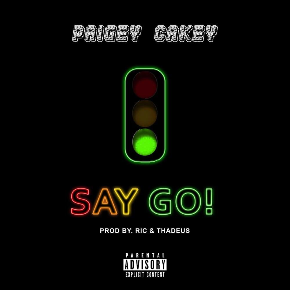 Album cover art for "Say Go" by Paigey Cakey