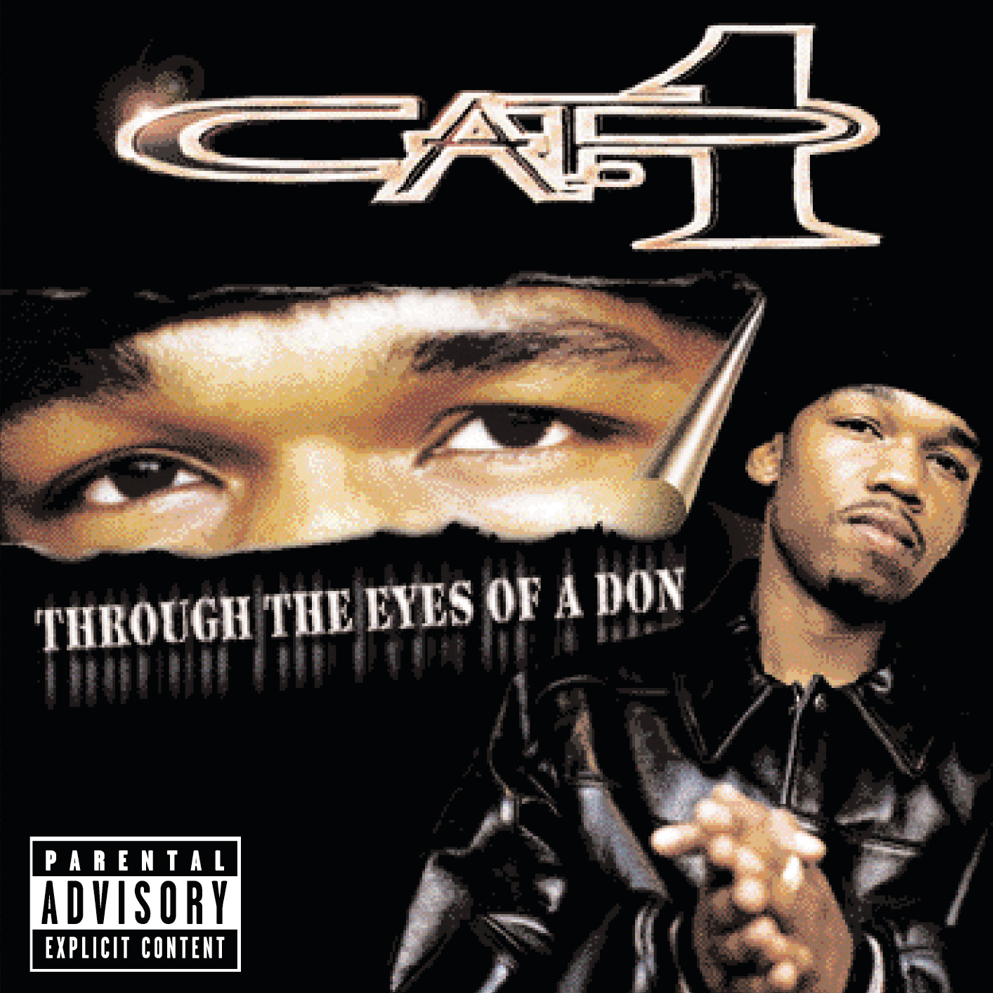 Cover image for Through the Eyes of a Don