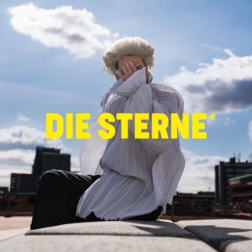Du musst gar nix by Die Sterne