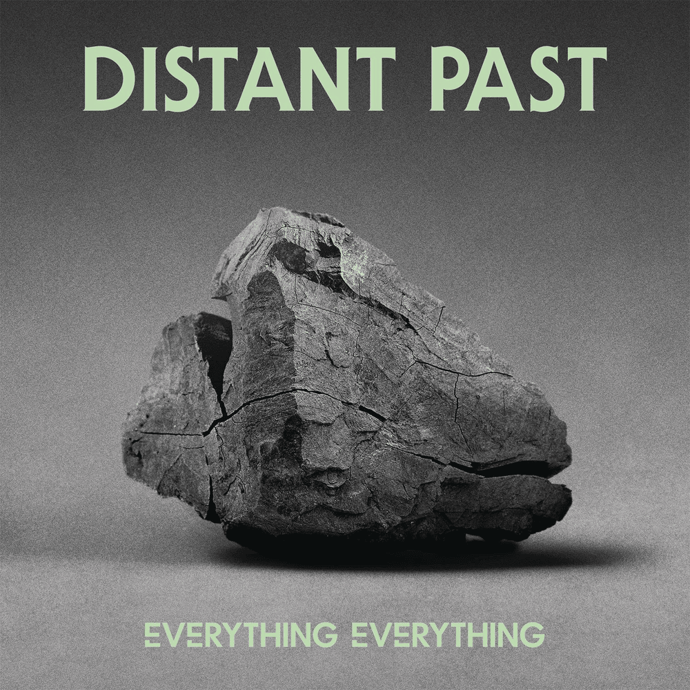 Distant Past by Everything Everything