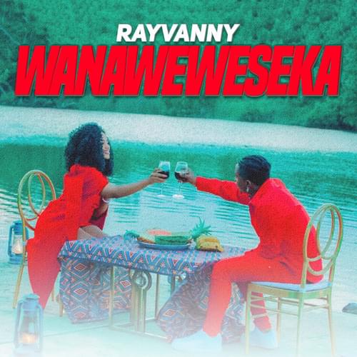 Album cover art for "Wanaweweseka" by Rayvanny