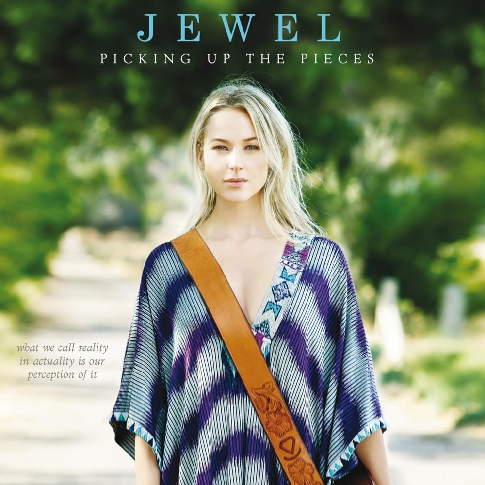 Cover image for Picking Up the Pieces