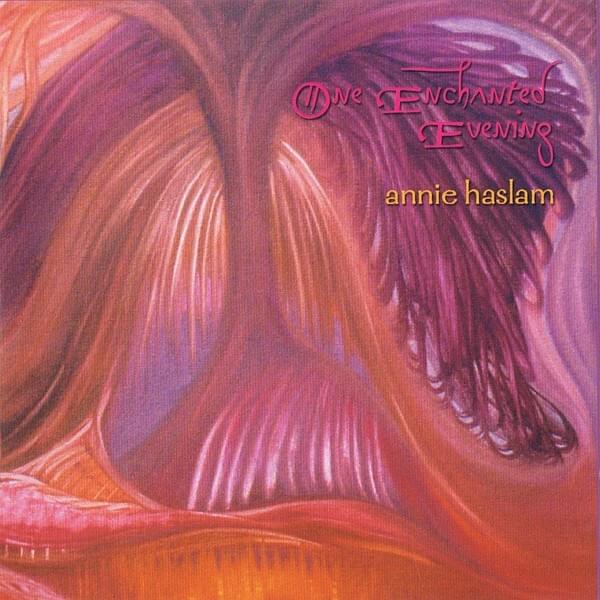 Cover image for One Enchanted Evening