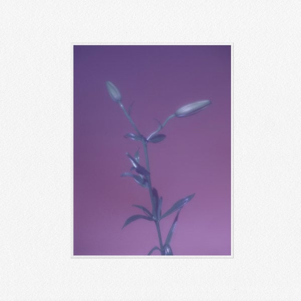 It’s All in Vain by Wet