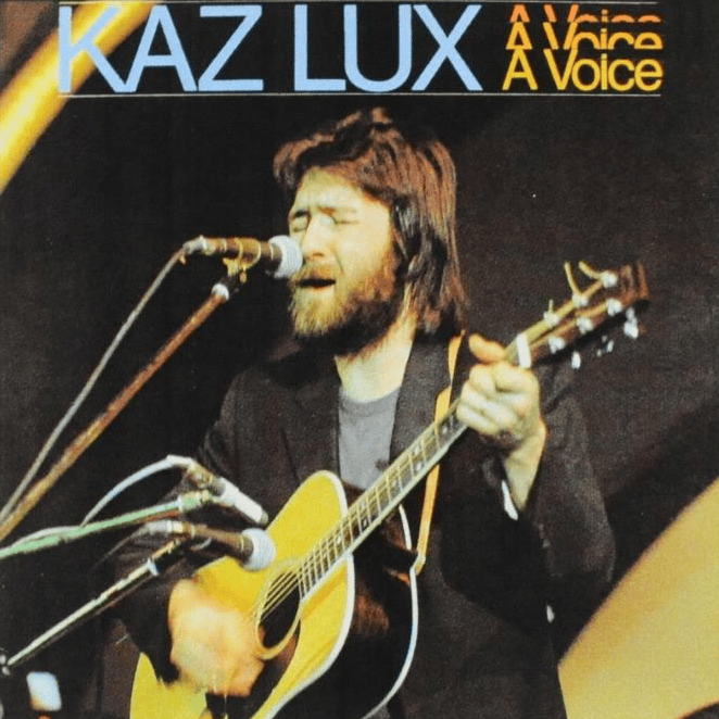 Cover image for A Voice