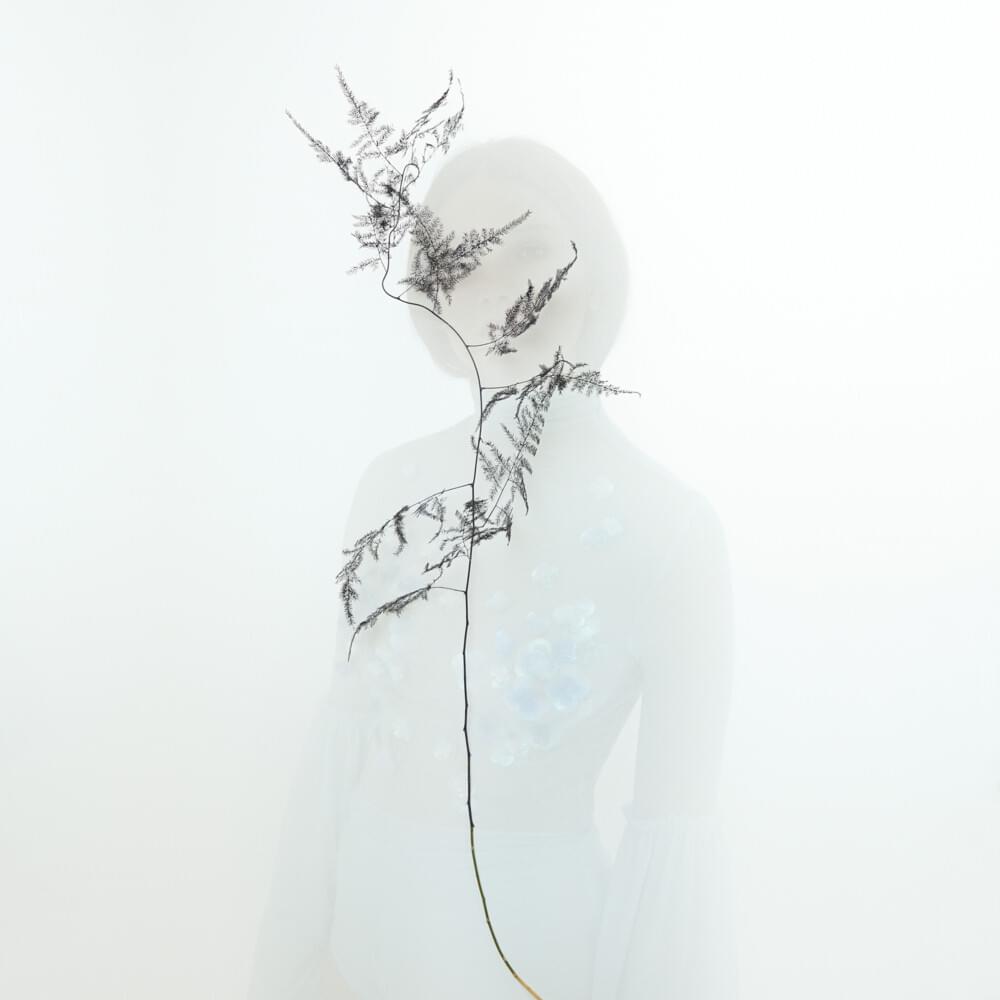 Cover image for EMPIRE