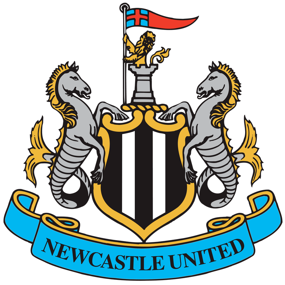 2014/15 Newcastle United FC Squad by Newcastle United FC