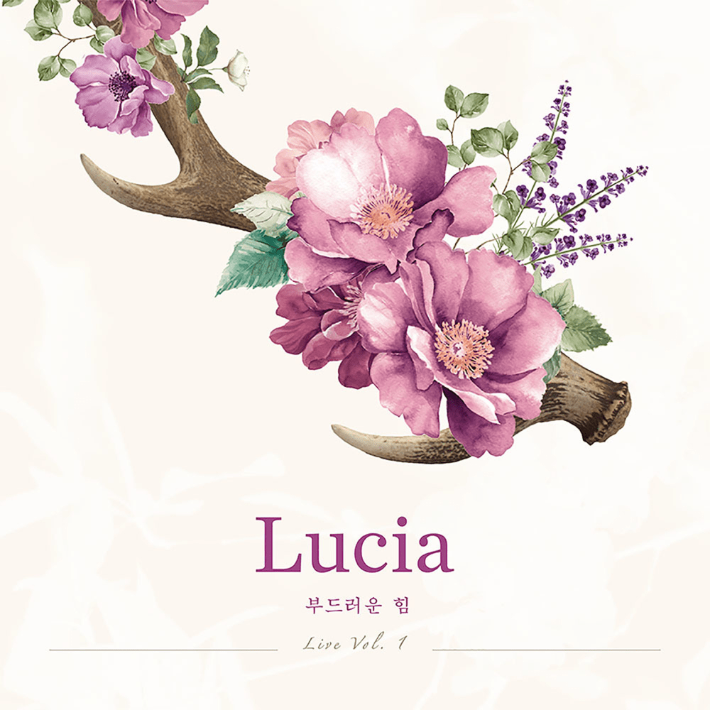Cover image for 부드러운 힘 (Power of Softness) Live Vol. 1