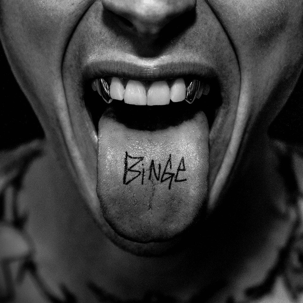 Cover image for BINGE