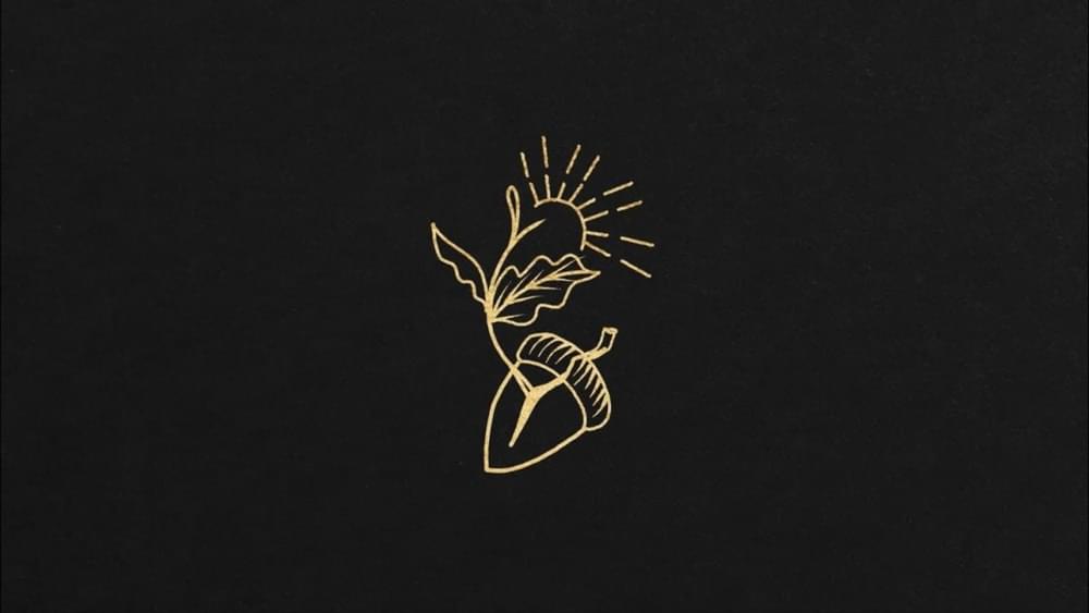 Album cover art for "The Sapling" by David Gray