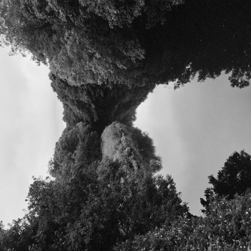 Album cover art for "Planet" by Four Tet