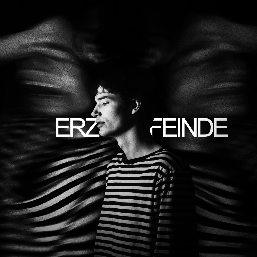 Erzfeinde by Stanzel Washington