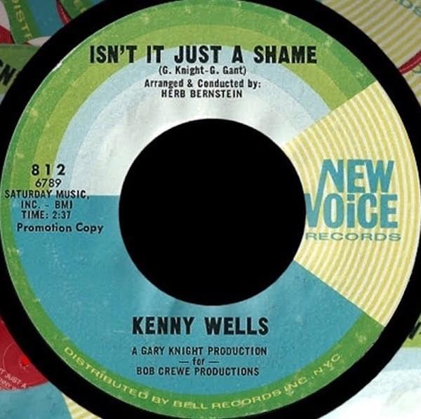 Album cover art for "Isn’t It Just A Shame" by Kenny Wells
