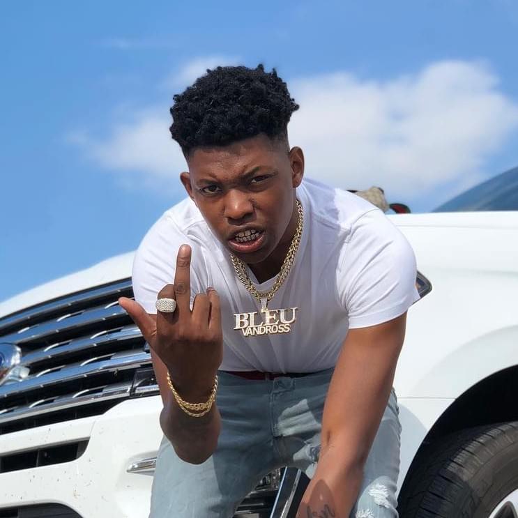 Cover image for Yung Bleu