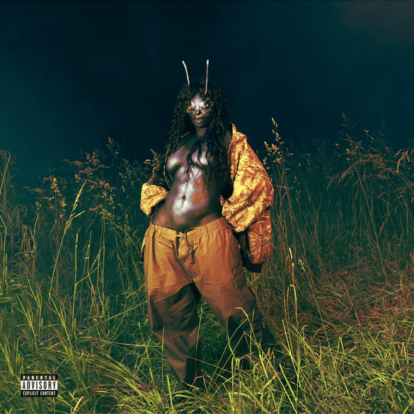 Cover image for SZA - SOS Deluxe: LANA (Bonus Tracks) (Traducción al Español)