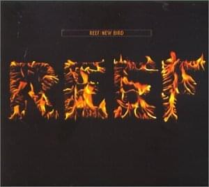 Cover image for New Bird (Single)