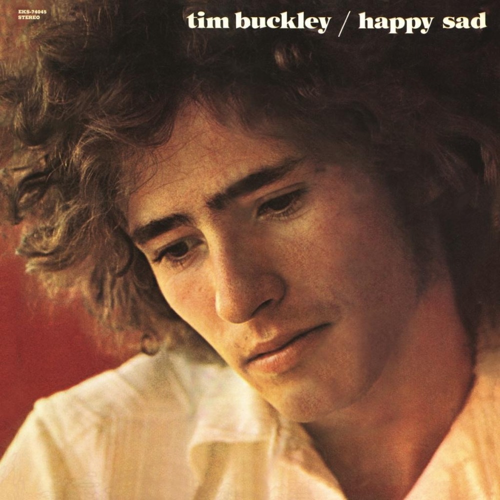 Buzzin’ Fly by Tim Buckley