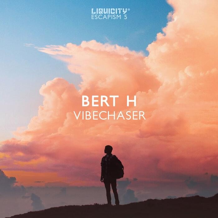 Album cover art for "Vibechaser" by Bert H