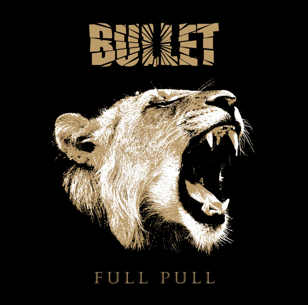 In the Heat by Bullet
