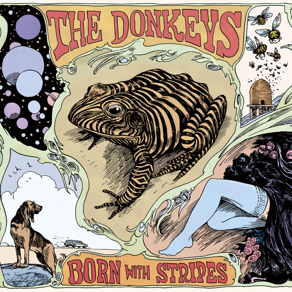 I Like The Way You Walk by The Donkeys
