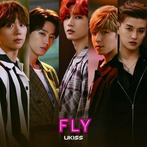 Cover image for FLY - Single