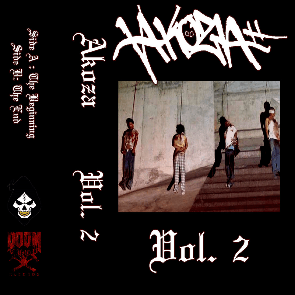 Cover image for Vol. 2