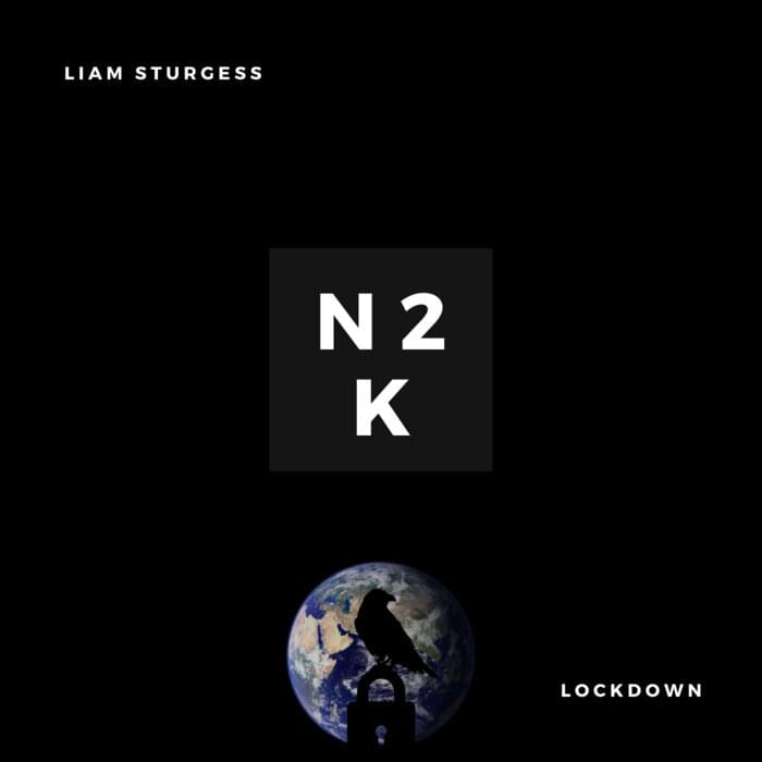 Album cover art for "N2K" by Liam Sturgess