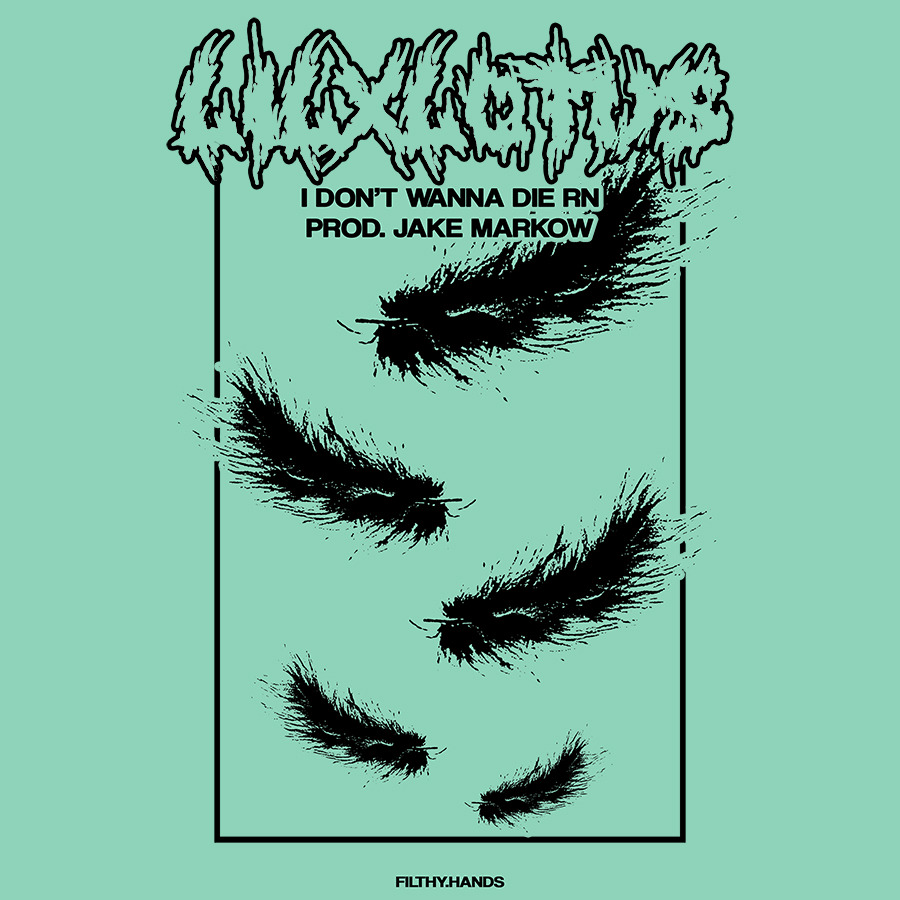 Album cover art for "​i don’t wanna die rn" by LiL Lotus