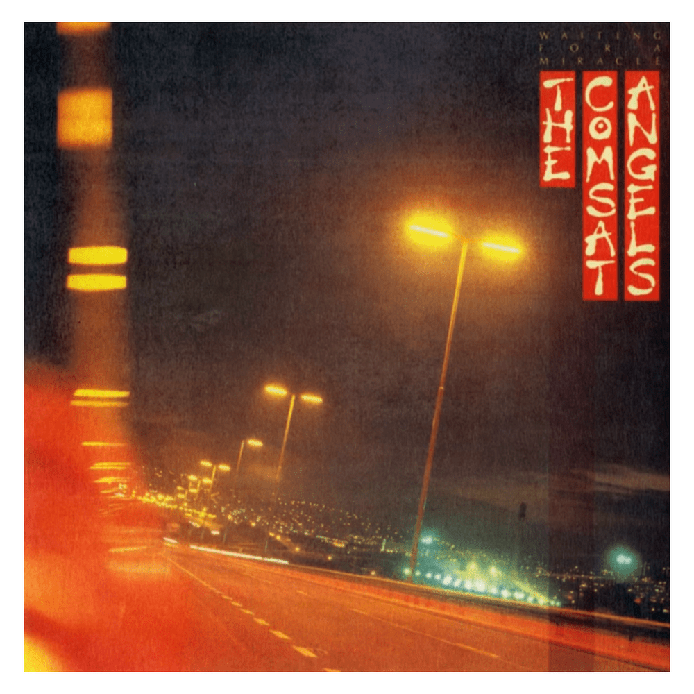 Cover image for Waiting for a Miracle