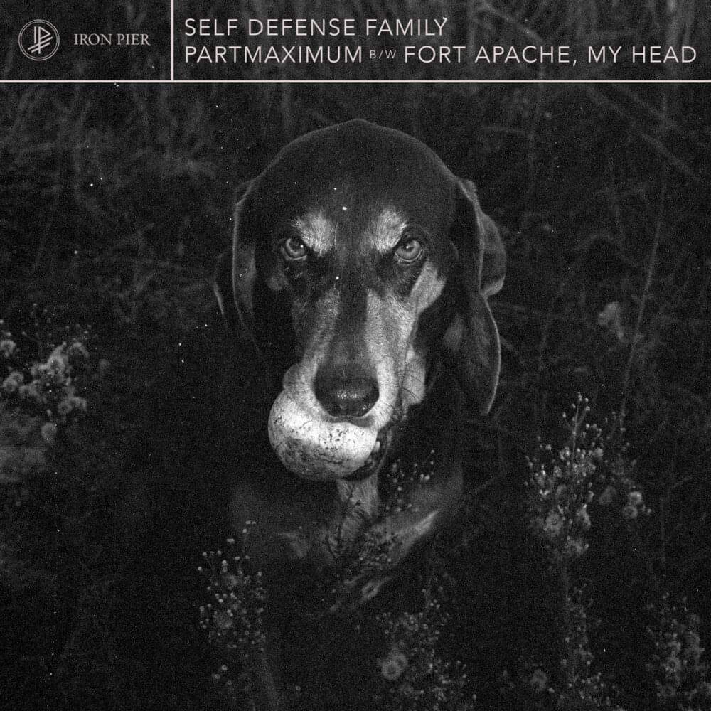 FORT APACHE, MY HEAD by Self Defense Family