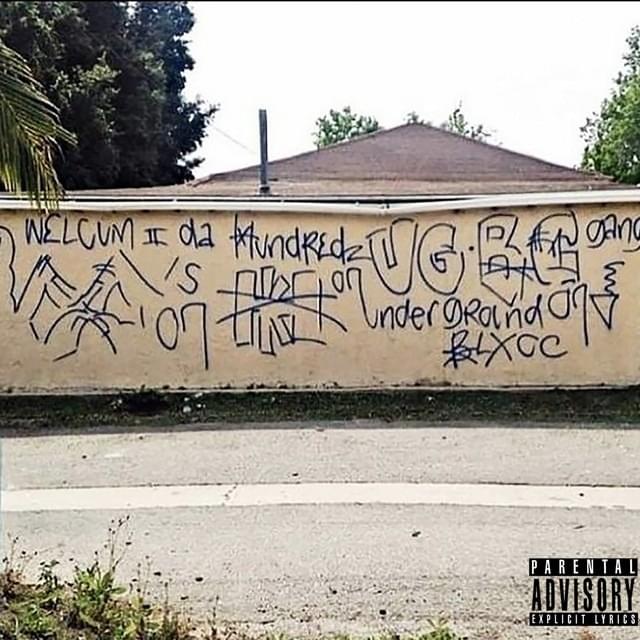 Album cover art for "Intro" by Wink Loc
