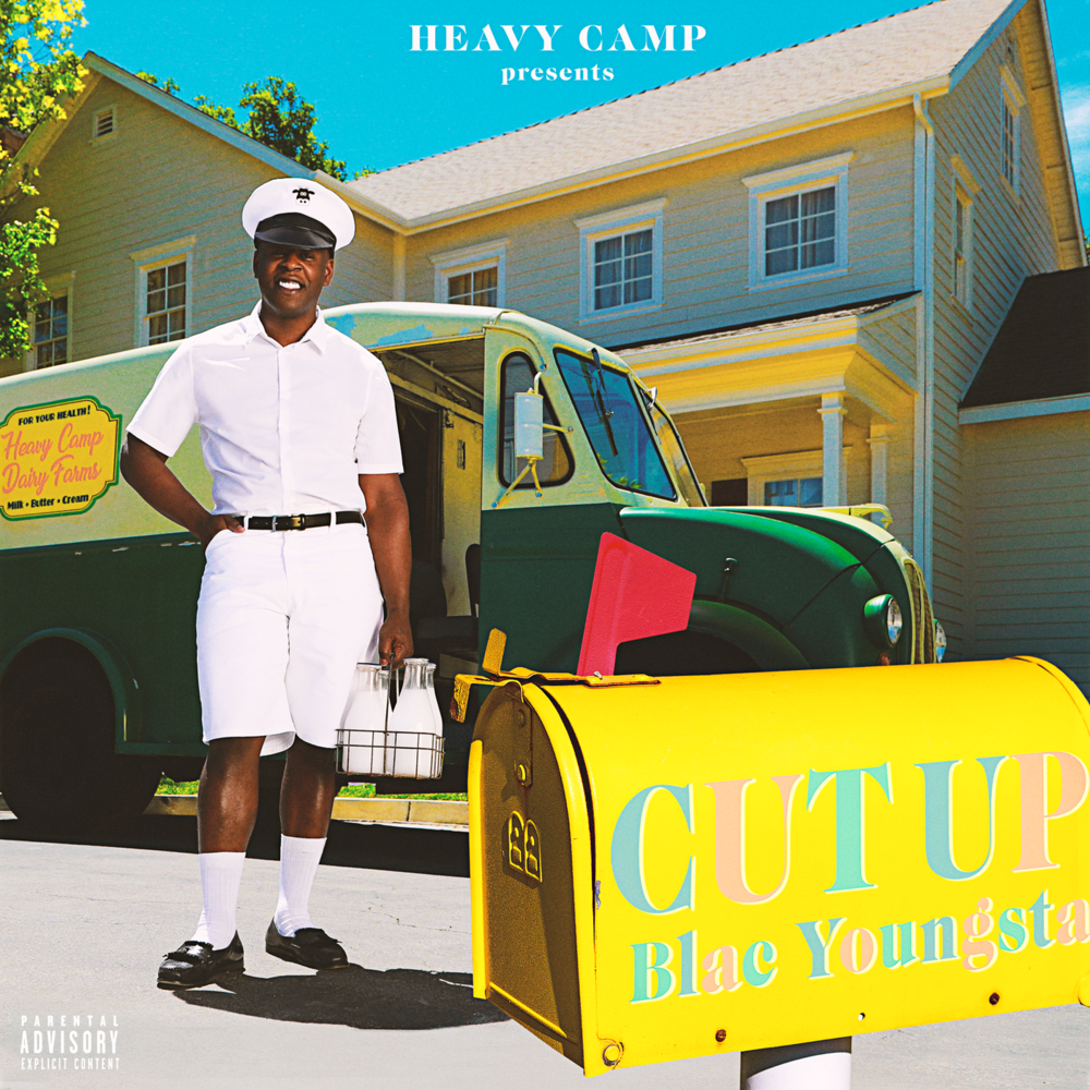 Cover image for Cut Up