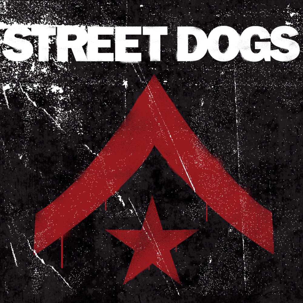Too Much Information by Street Dogs