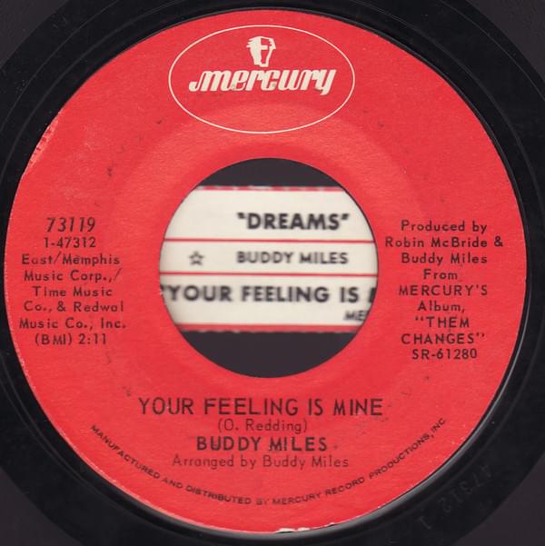 Your Feeling Is Mine by Buddy Miles