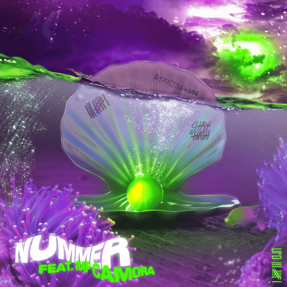 Album cover art for "Nummer" by Ufo361 & RAF Camora