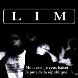 Album cover art for "Schmiture" by LIM