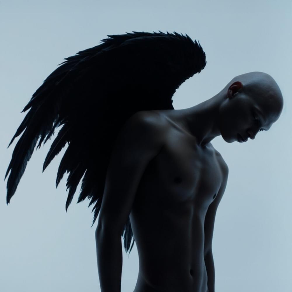 Album cover art for "Darkness In Me" by Steve Angello